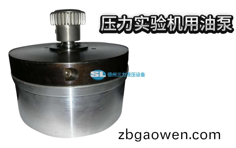 壓(ya)力實驗(yan)機(ji)用(yong)油泵(beng) (2).jpg